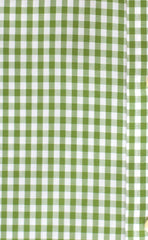 Classic Fit Green Gingham Button-Down Collar Supima® Non-Iron Cotton Broadcloth Sport Shirt (B/T)